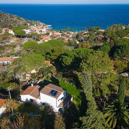 Villa Caterina Quiete E Mare-Goelba SantʼAndrea Екстериор снимка