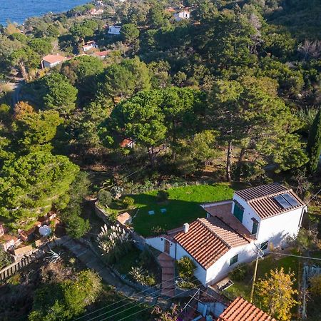 Villa Caterina Quiete E Mare-Goelba SantʼAndrea Екстериор снимка