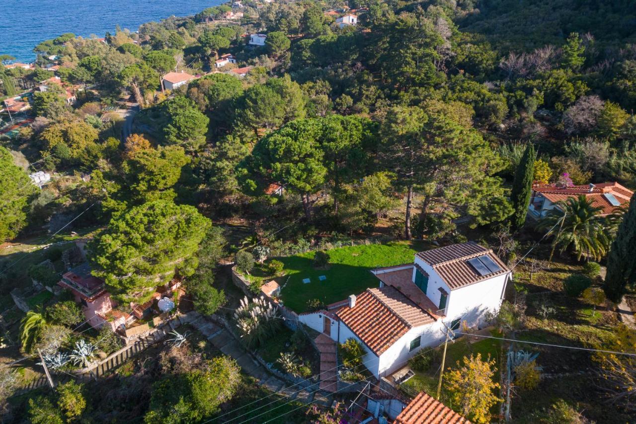 Villa Caterina Quiete E Mare-Goelba SantʼAndrea Екстериор снимка