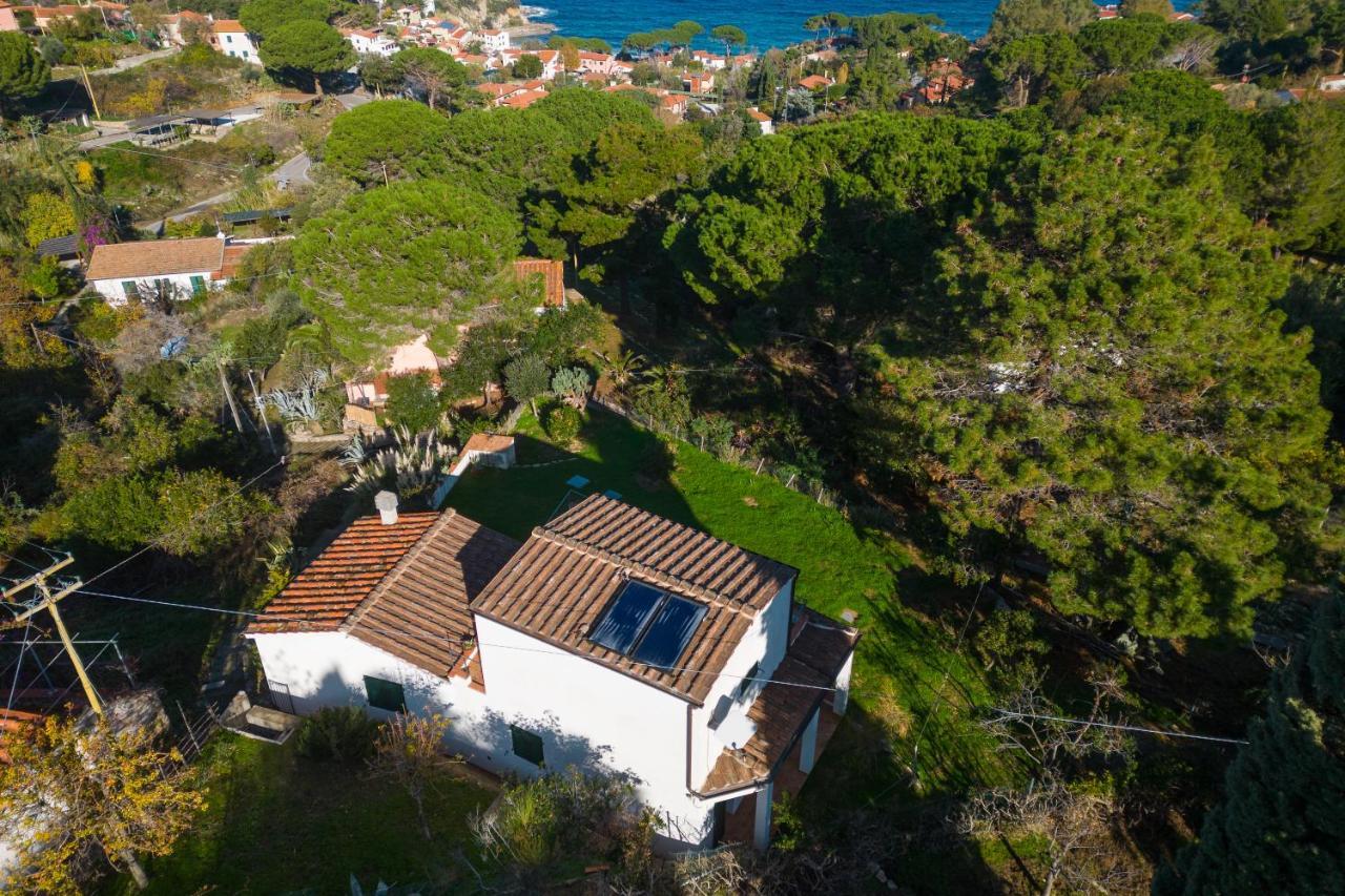 Villa Caterina Quiete E Mare-Goelba SantʼAndrea Екстериор снимка