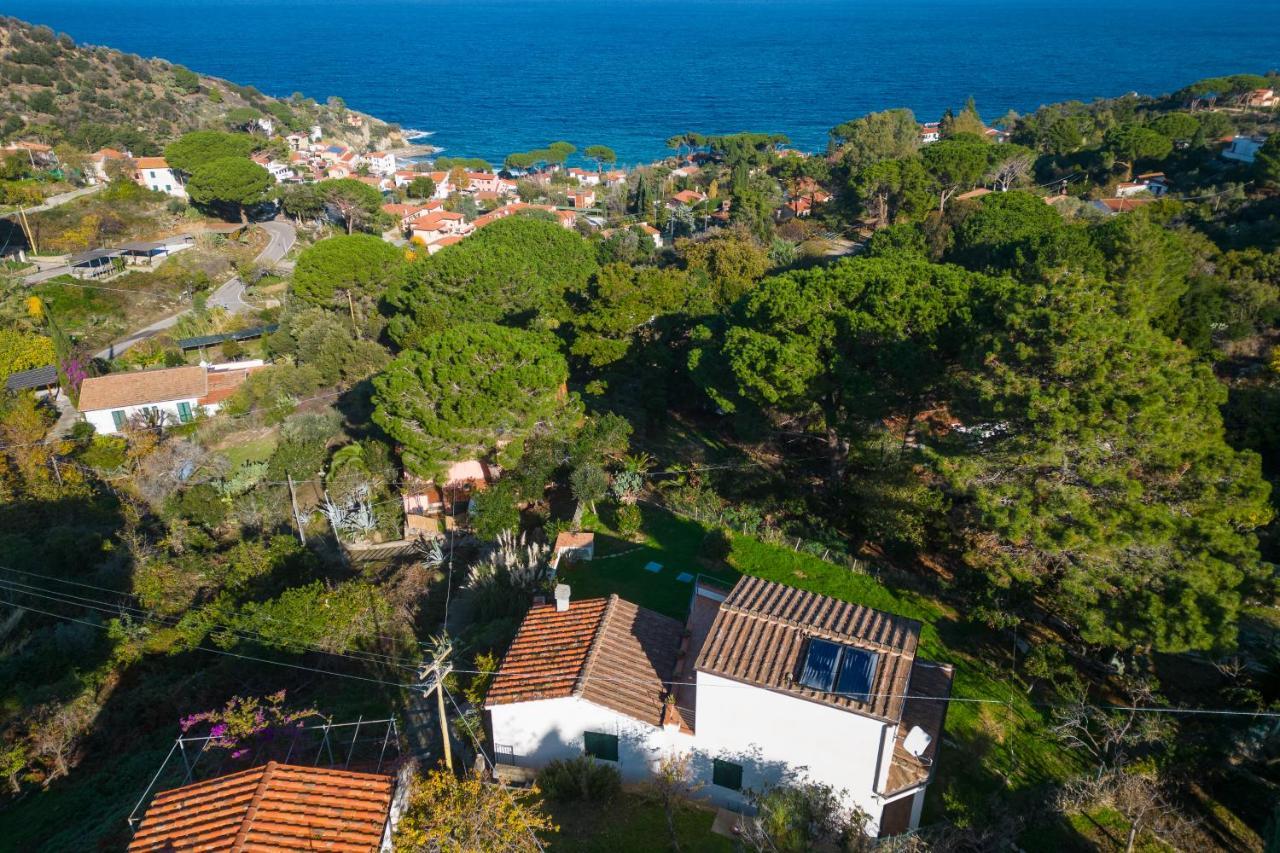 Villa Caterina Quiete E Mare-Goelba SantʼAndrea Екстериор снимка
